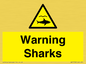 WV7778: Warning sharks