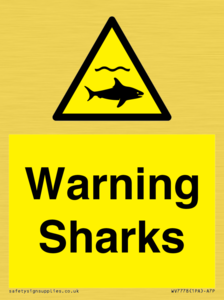 WV7778: Warning sharks