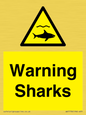 WV7778: Warning sharks