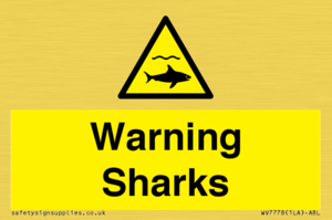 WV7778: Warning sharks