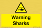 WV7778: Warning sharks