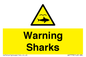 WV7778: Warning sharks