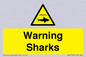 WV7778: Warning sharks