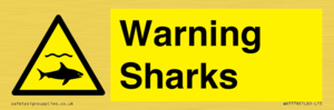 WV7778: Warning sharks
