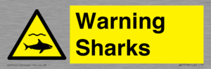 WV7778: Warning sharks