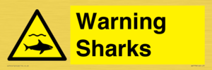 WV7778: Warning sharks