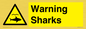 WV7778: Warning sharks