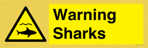 WV7778: Warning sharks