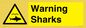 WV7778: Warning sharks
