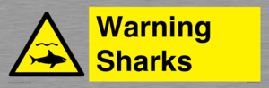 WV7778: Warning sharks