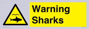 WV7778: Warning sharks