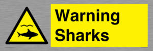WV7778: Warning sharks