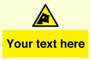 WV7791: Custom warning bull