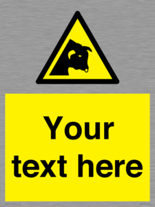 WV7791: Custom warning bull