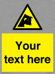 WV7791: Custom warning bull