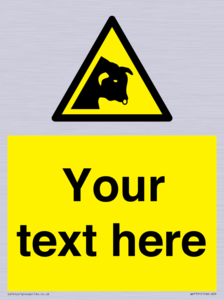 WV7791: Custom warning bull