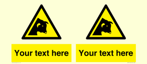 WV7791: Custom warning bull