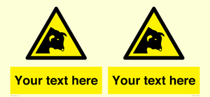 WV7791: Custom warning bull