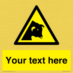 WV7791: Custom warning bull