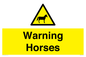 WV7805: Warning Horses