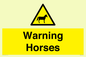 WV7805: Warning Horses