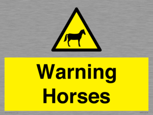 WV7805: Warning Horses