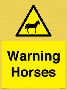 WV7805: Warning Horses