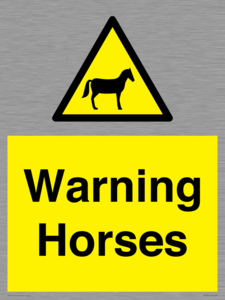 WV7805: Warning Horses