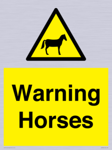 WV7805: Warning Horses