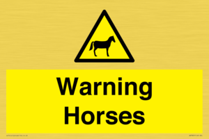 WV7805: Warning Horses