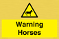 WV7805: Warning Horses