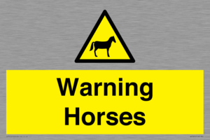 WV7805: Warning Horses