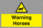 WV7805: Warning Horses