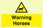 WV7805: Warning Horses