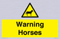 WV7805: Warning Horses