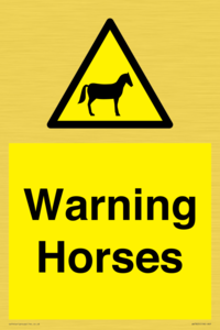 WV7805: Warning Horses