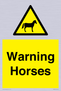 WV7805: Warning Horses
