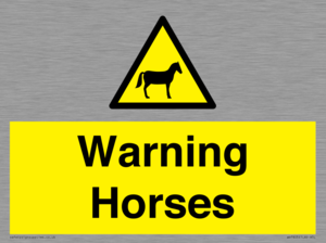 WV7805: Warning Horses