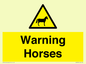WV7805: Warning Horses