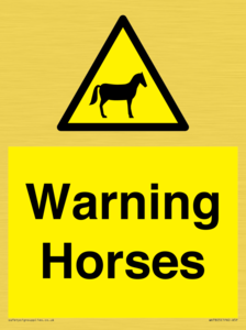 WV7805: Warning Horses
