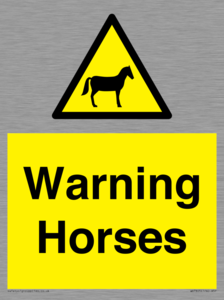 WV7805: Warning Horses