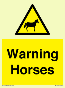WV7805: Warning Horses