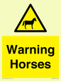 WV7805: Warning Horses