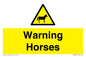 WV7805: Warning Horses