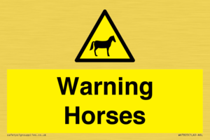 WV7805: Warning Horses