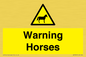 WV7805: Warning Horses
