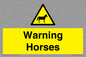 WV7805: Warning Horses
