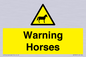 WV7805: Warning Horses