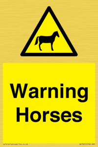 WV7805: Warning Horses