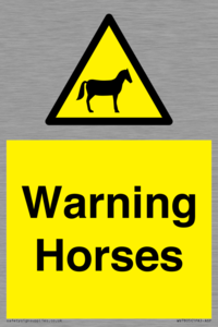 WV7805: Warning Horses